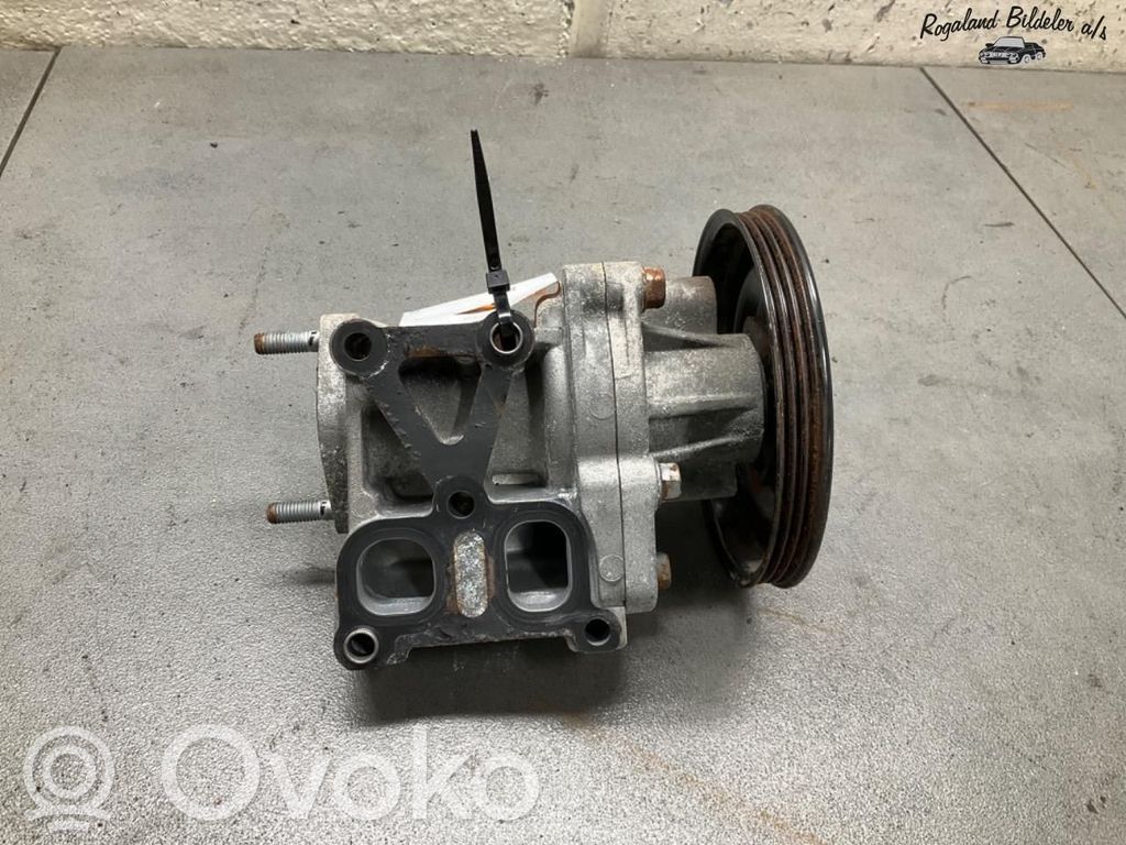 Vandens pompa   1300A110,1300A110,1300A110