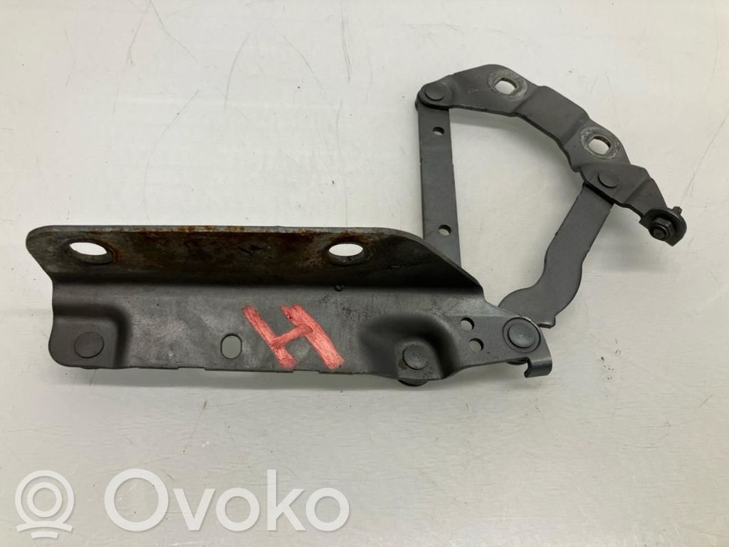 Land Rover Range Rover Evoque L538 Cerniere del vano motore/cofano