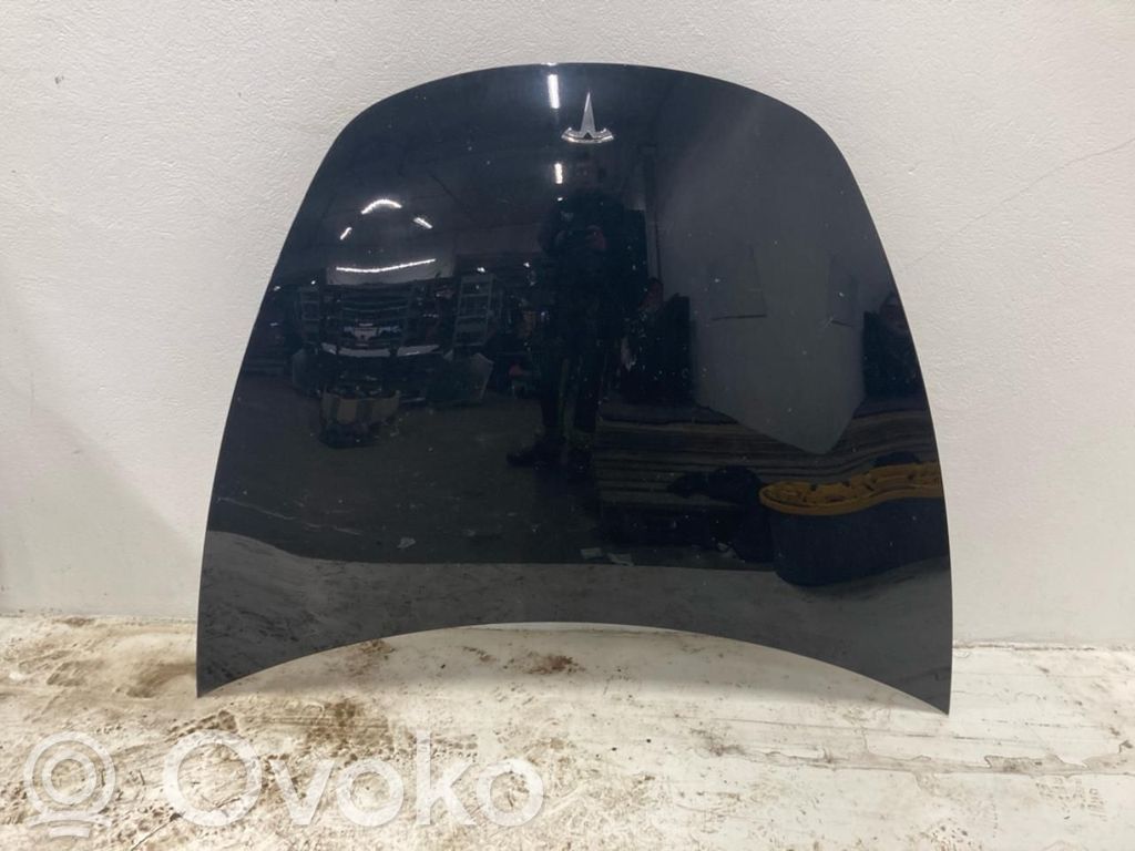 Tesla Model 3 Dzinēja pārsegs (vāks) 
