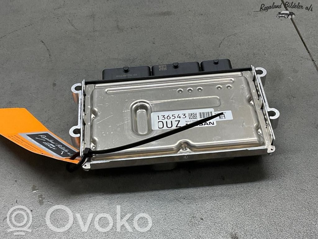 Nissan Ariya Autres unités de commande / modules 