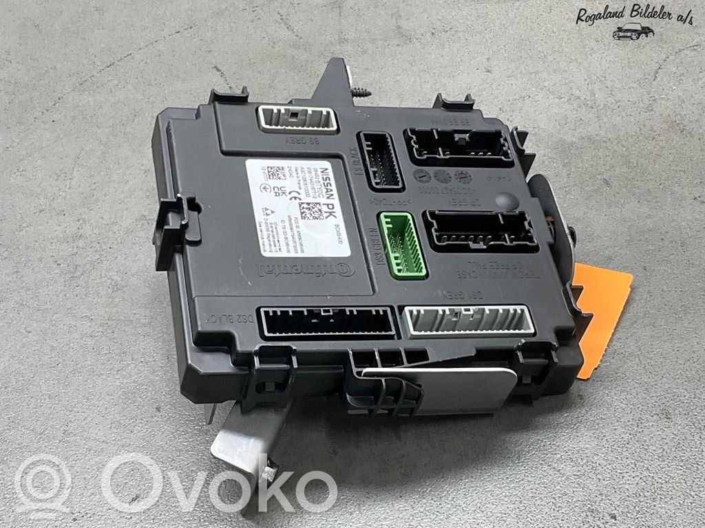 Nissan Ariya Sonstige Steuergeräte / Module 