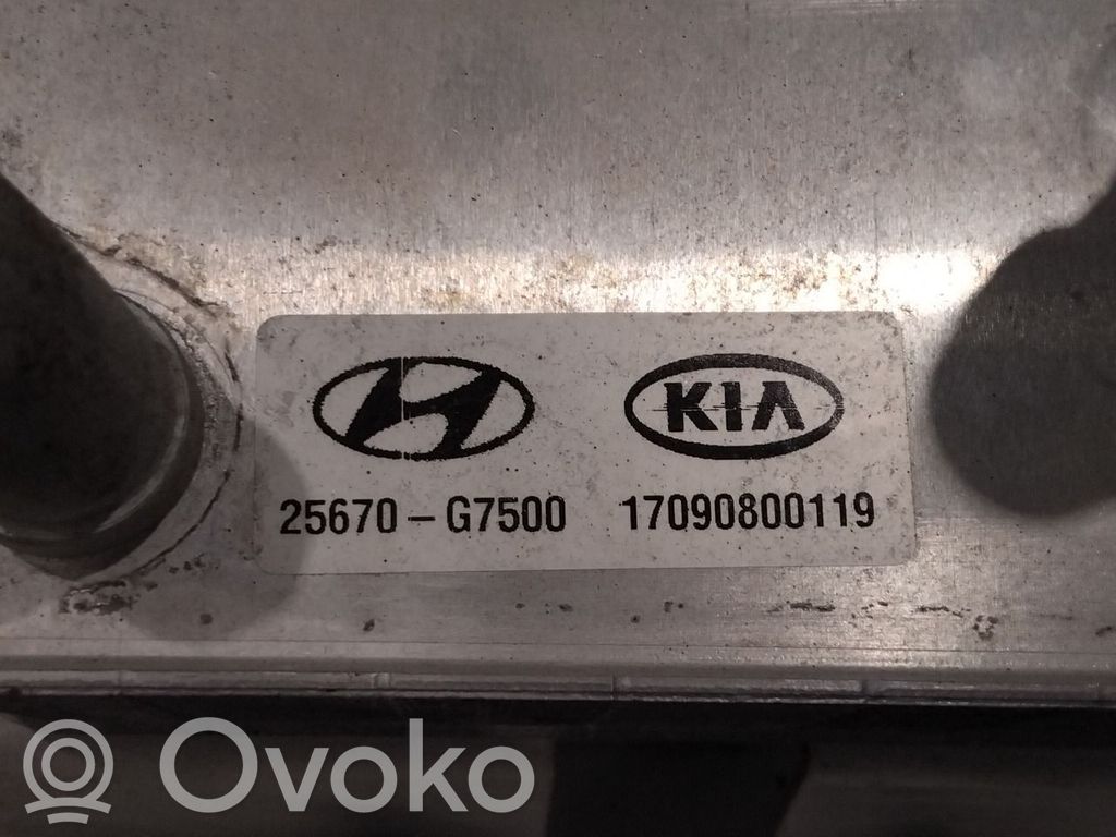 Hyundai Ioniq Alte piese aer condiționat (A/C) 