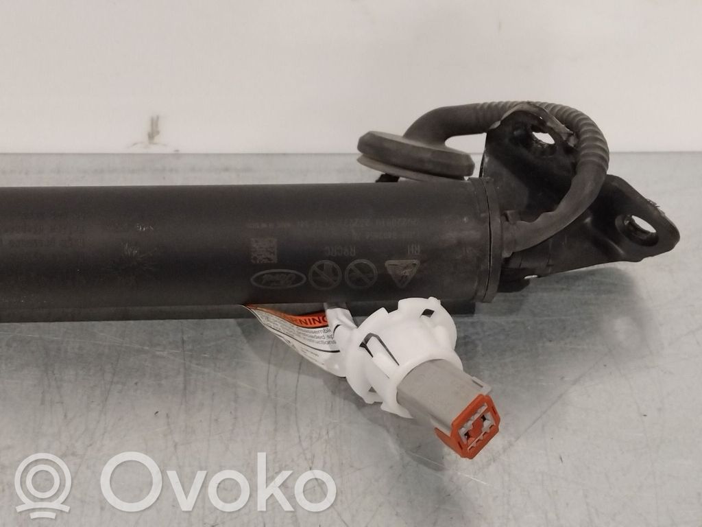 Ford Mustang Mach-E Tailgate/trunk strut/damper 