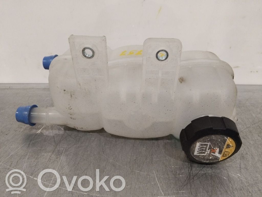 Hyundai Ioniq Vase d'expansion de carburant