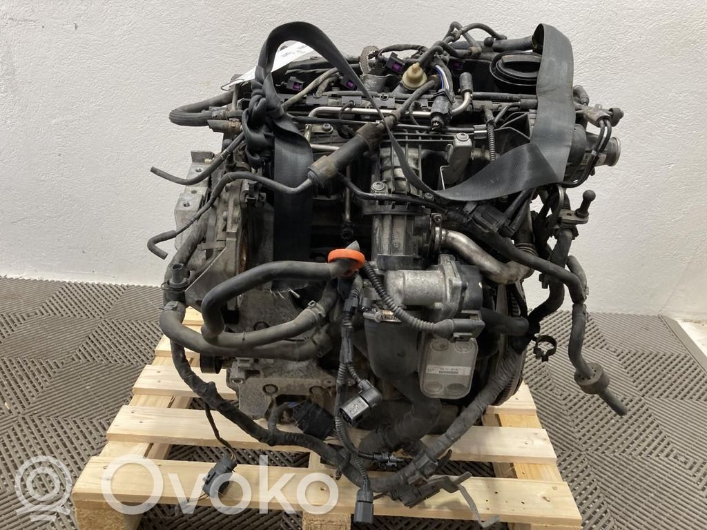 Volkswagen Golf VI Variklis 