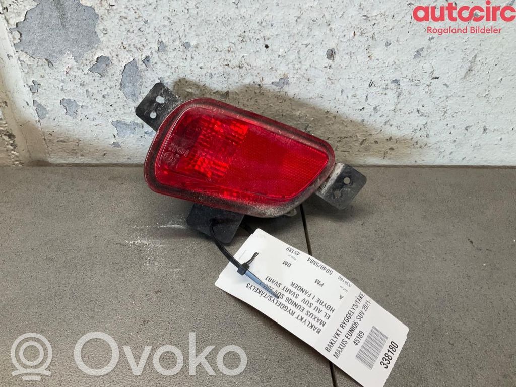 Rear bumper light