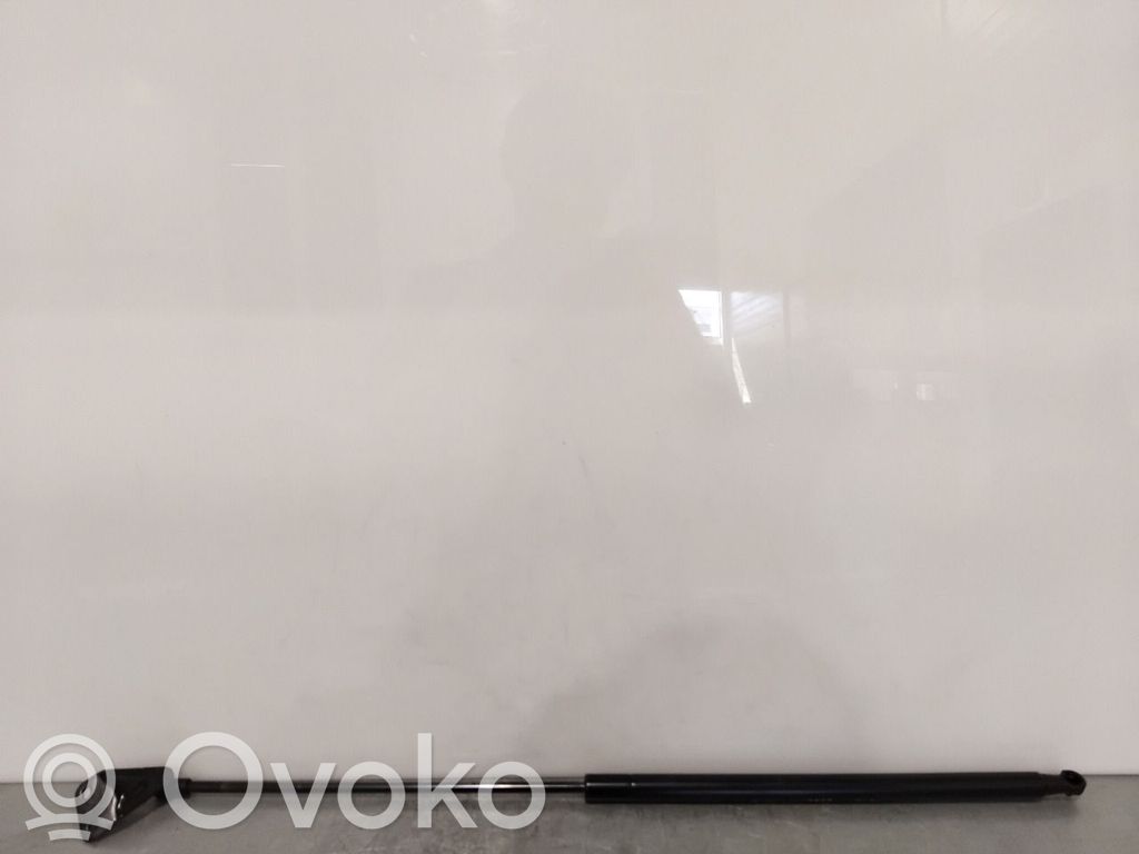 Nissan Juke I F15 Ammortizzatore portellone posteriore/bagagliaio 