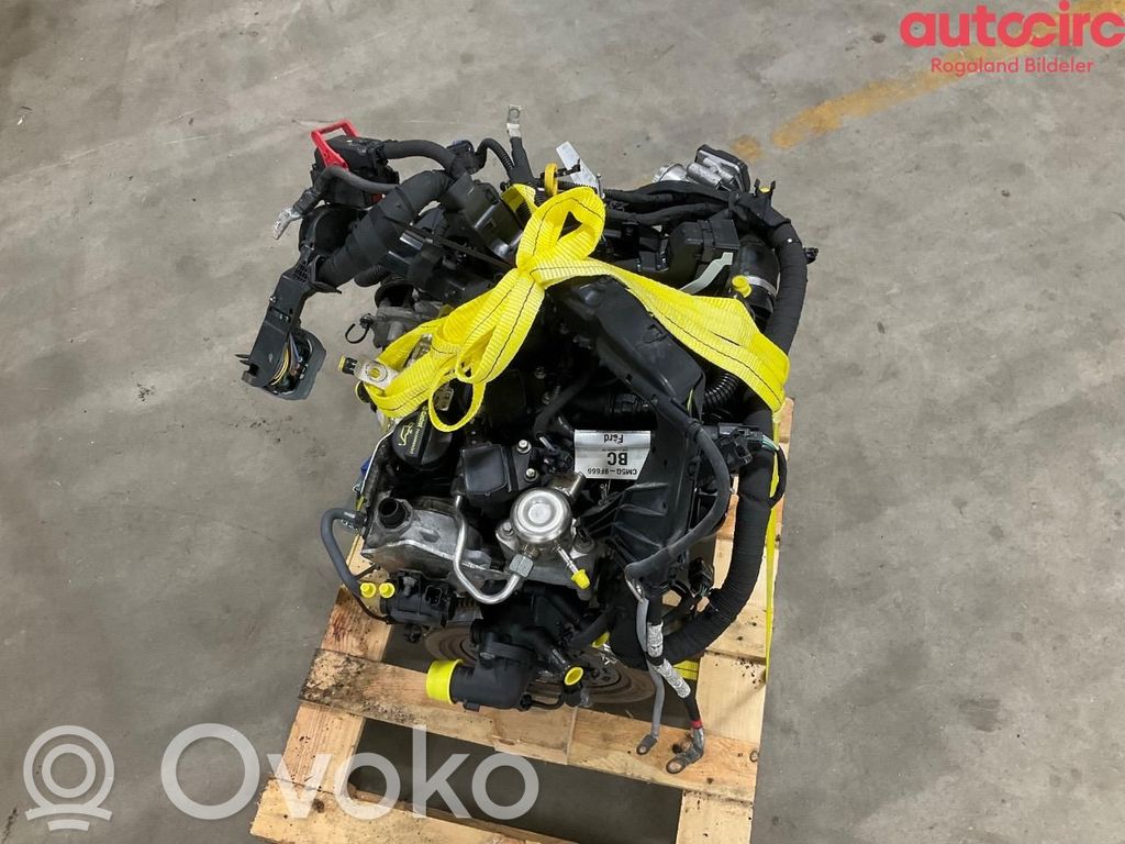 Ford Fiesta Dzinējs 