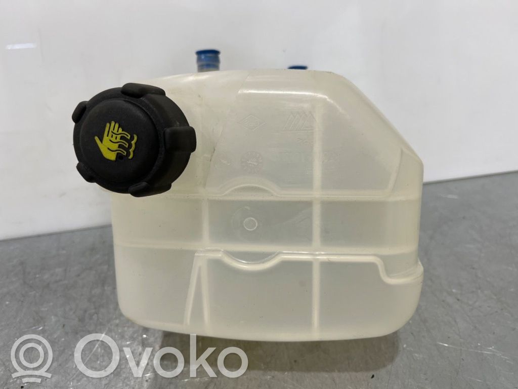 Vas expansiune combustibil   929A08321R,929A08321R