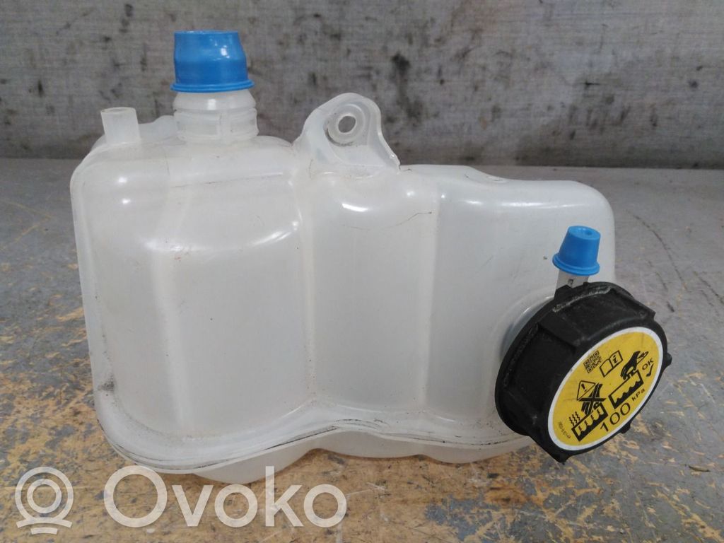 Jaguar I-Pace Vaso di espansione carburante 