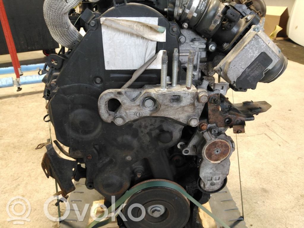 Ford Fiesta Variklis 