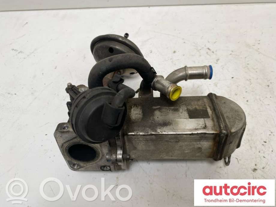 EGR dzesētājs   059131511,059131511