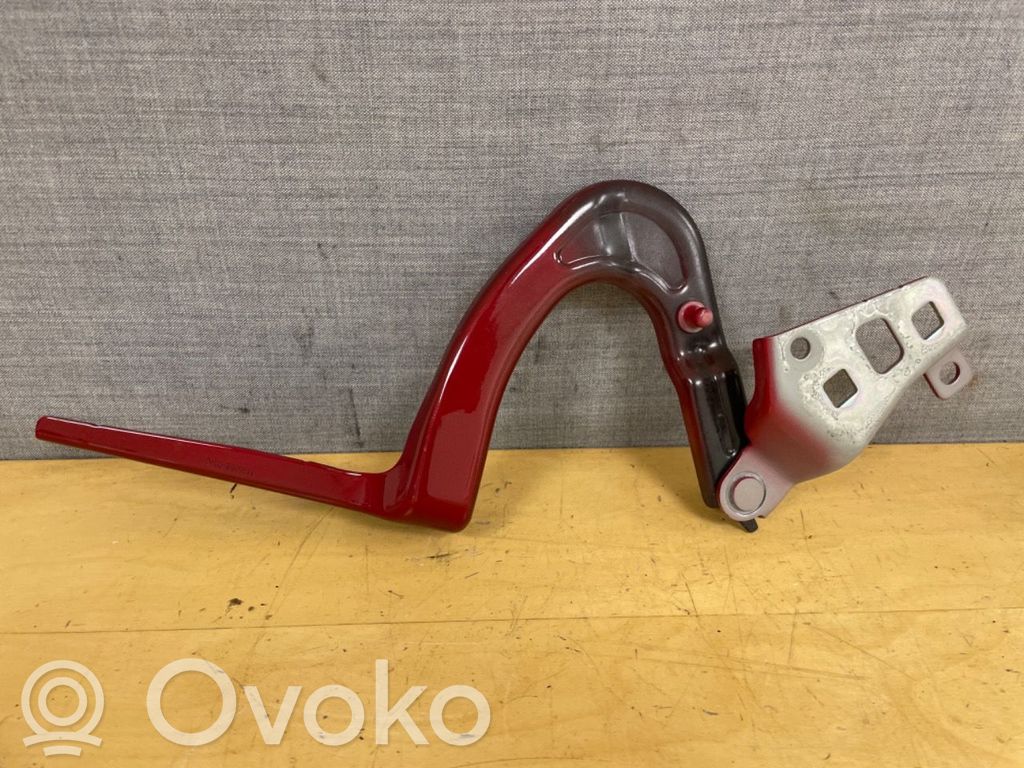 Tesla Model Y Engine bonnet/hood hinges 