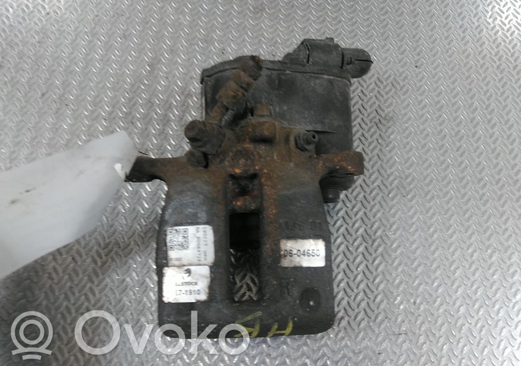 Takajarrusatula   36001381,36001381