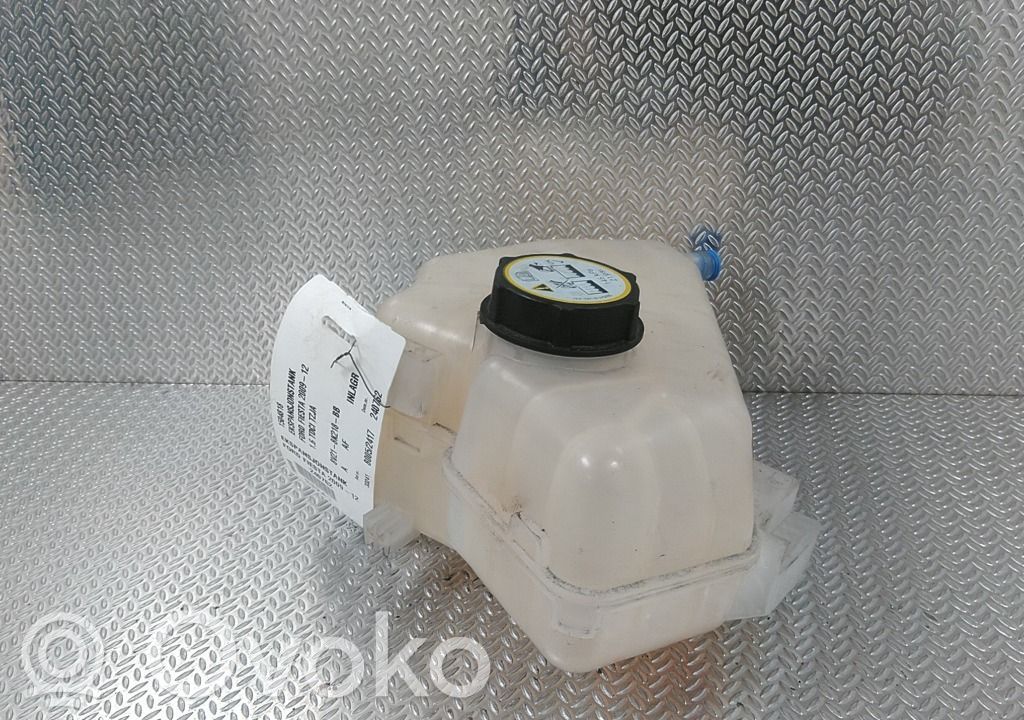 Ford Fiesta Kraftstoff-Ausgleichsbehälter 