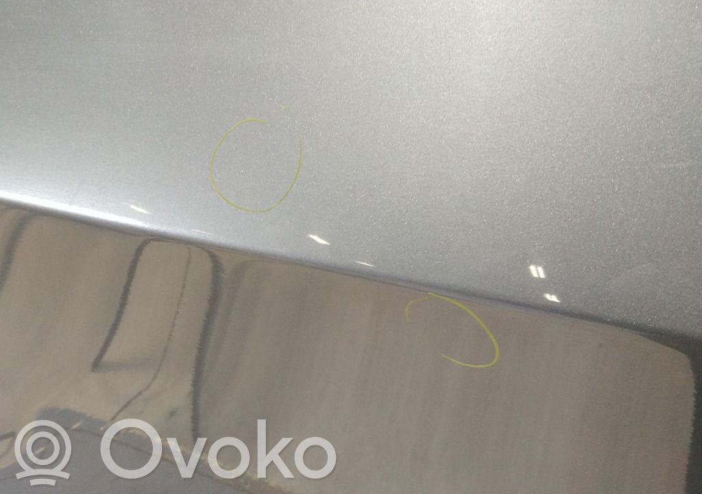 BMW X5 E70 Portiera posteriore
