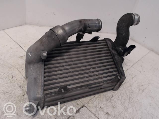 Audi A8 S8 D3 4E Intercooler radiator 