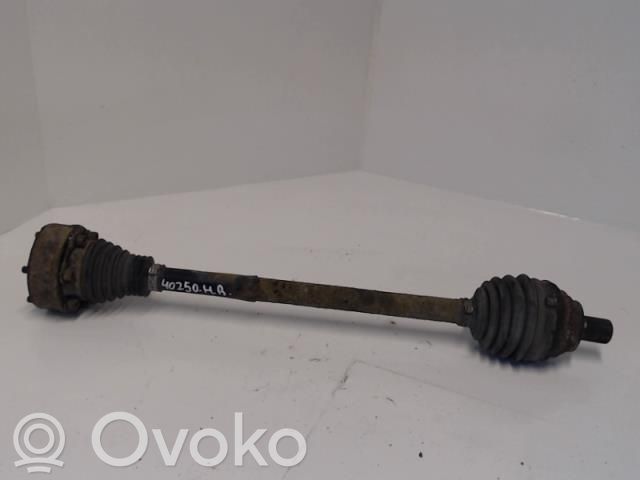 Volkswagen PASSAT B6 Albero di trasmissione posteriore 