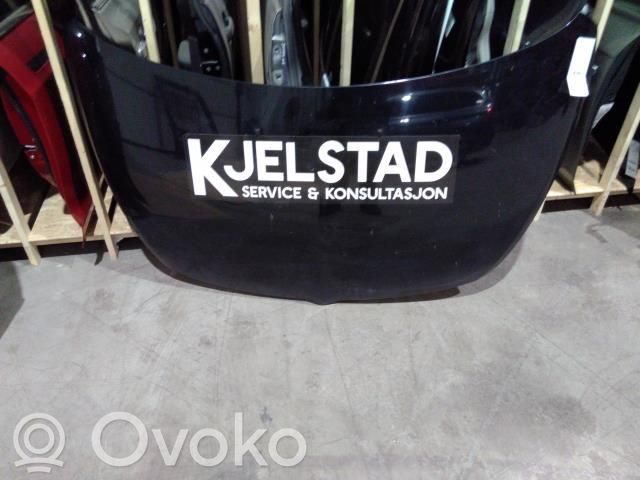 Mitsubishi Grandis Konepelti 