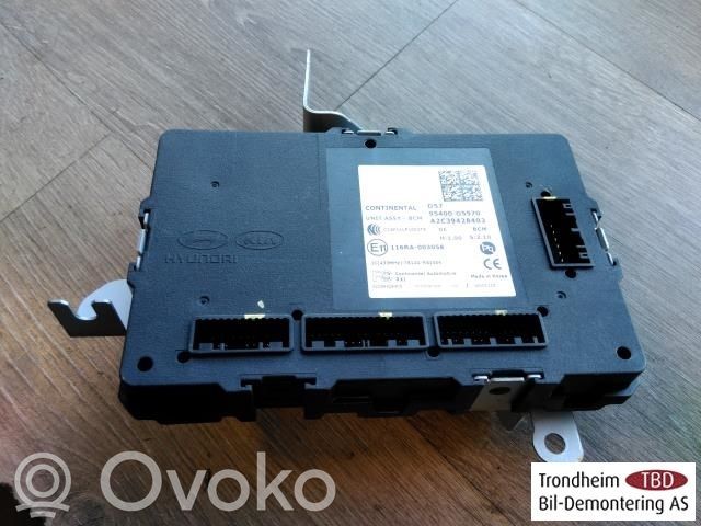 KIA Niro Central body control module 