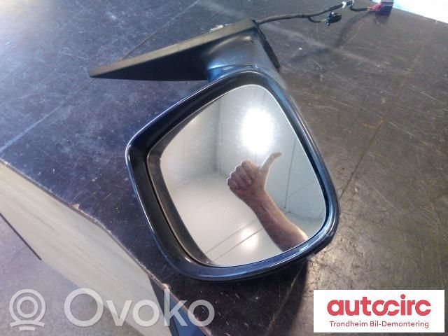 Audi Q7 4L Elektryczne lusterko boczne drzwi przednich 