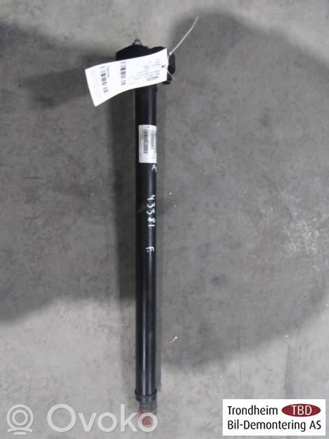 Eje propulsor delantero   7556019,26207556019,26207556019,7556019
