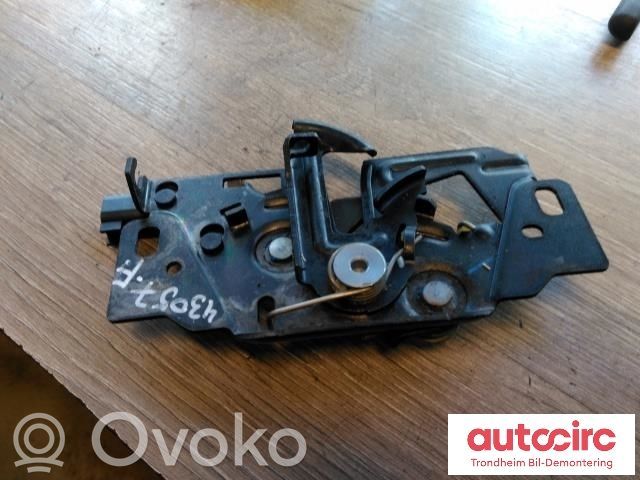 Tesla Model 3 Spyna variklio dangčio 