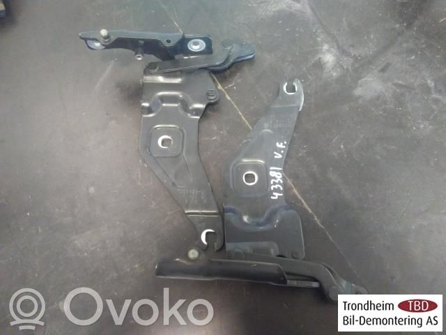 BMW X6 E71 Cerniere del vano motore/cofano 