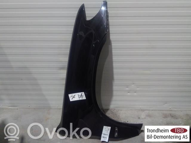 BMW X5 E53 Fender 