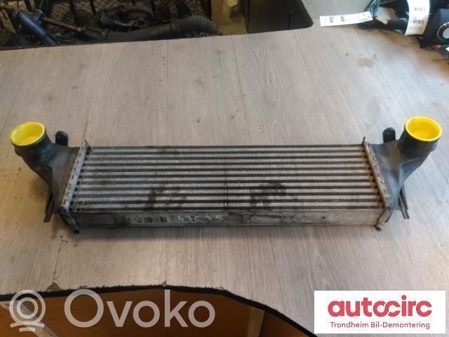 Intercooler radiator   2247966,17512247966,83193,17512247966,2247966,83193