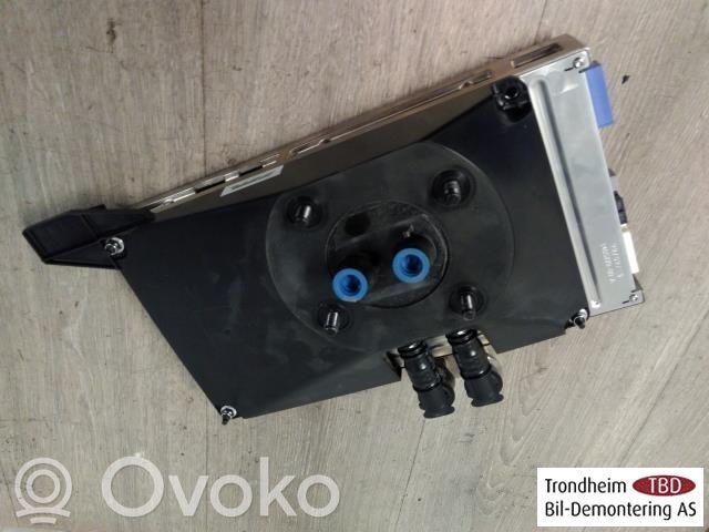 Tesla Model 3 Centralina/modulo regolatore della velocità 