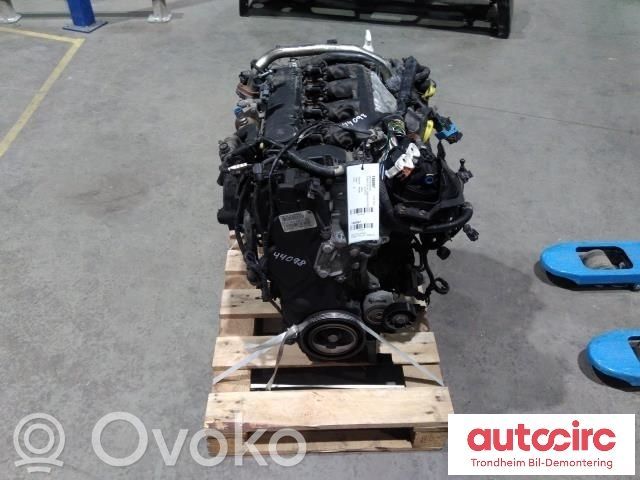 Ford Focus Motore 