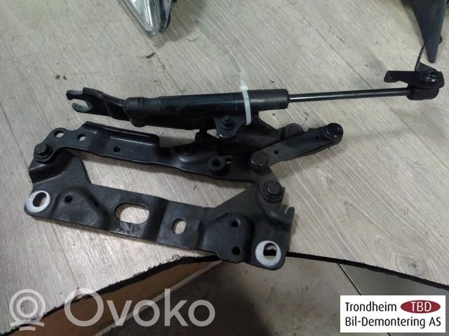 BMW 7 F01 F02 F03 F04 Balamale capotă 