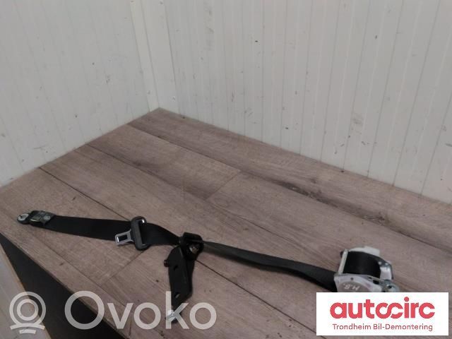 Tesla Model S Cinturón trasero 