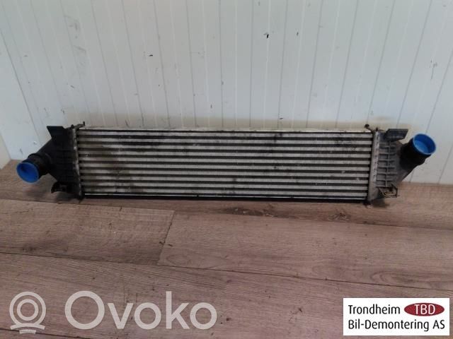 Ford Focus Radiatore intercooler