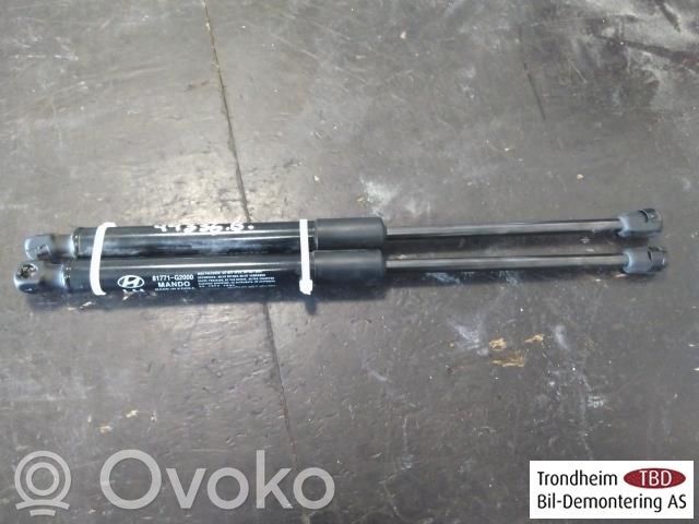 Hyundai Ioniq Ammortizzatore portellone posteriore/bagagliaio