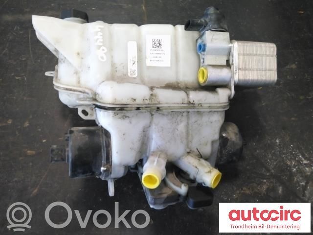 Tesla Model 3 Fuel expansion tank 