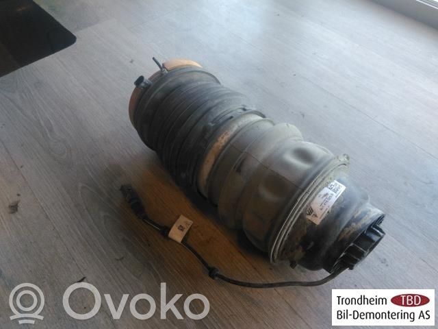Porsche Taycan 9J1 Sacca a pressione sospensione/ammortizzatore posteriore 
