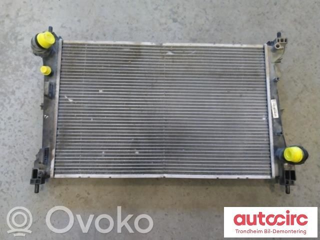 Opel Combo D Coolant radiator 