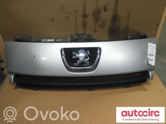 Peugeot Expert Front grill 