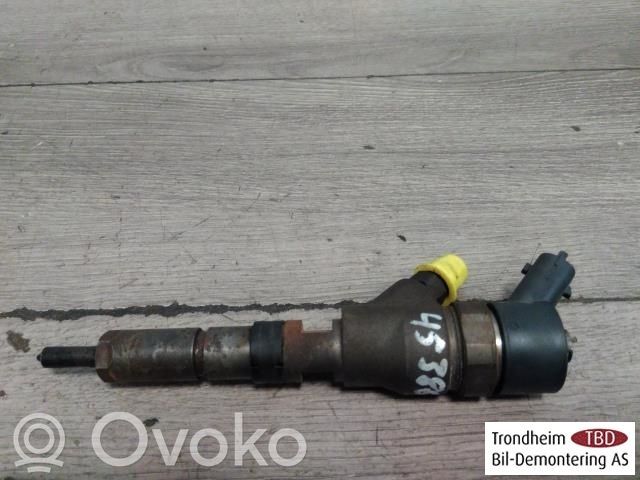 Peugeot 307 Injector combustibil 