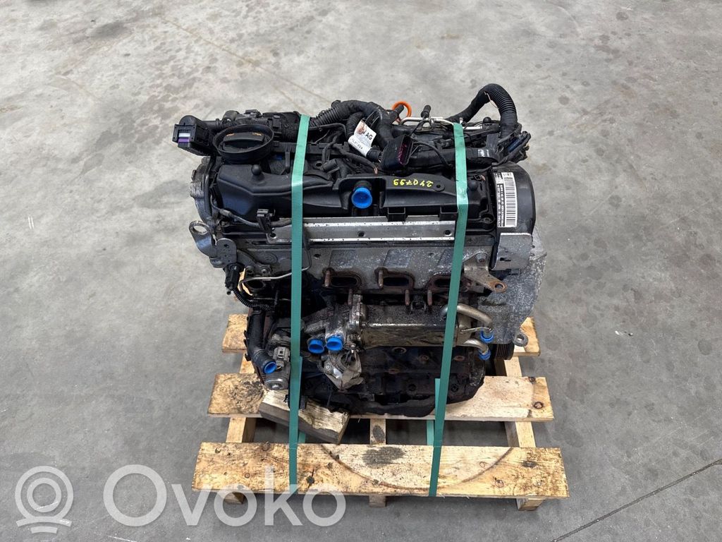 Volkswagen Polo V 6R Variklis 