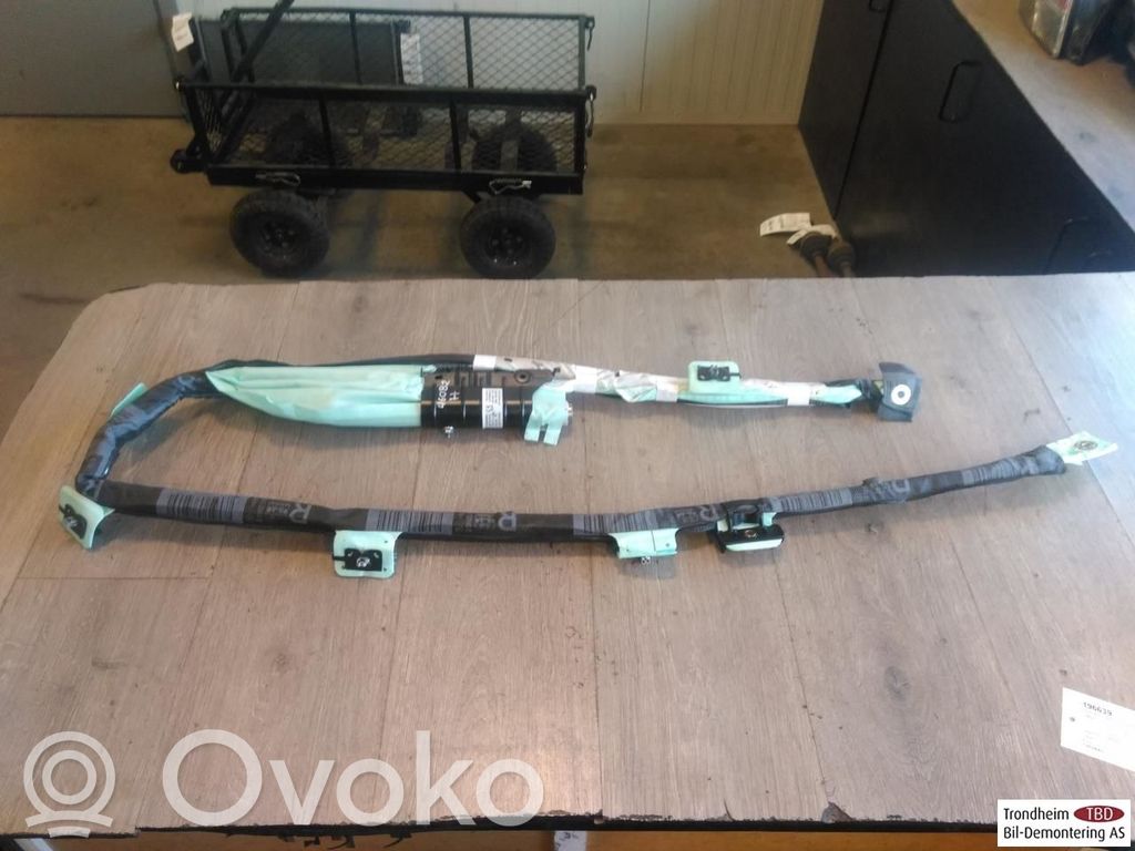 BMW i3 Airbag del techo 