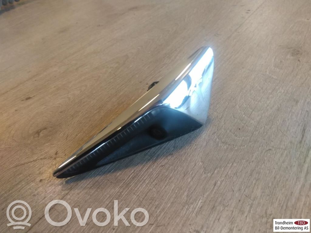 Tesla Model X Front indicator light 