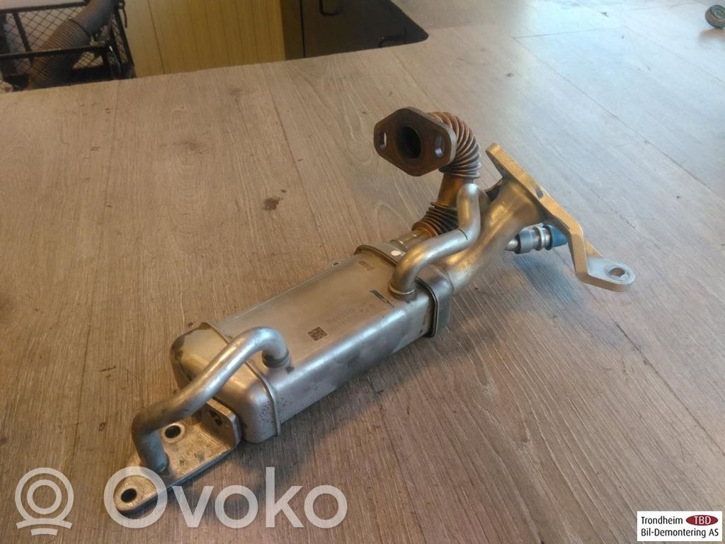 Dacia Duster Refroidisseur de vanne EGR
