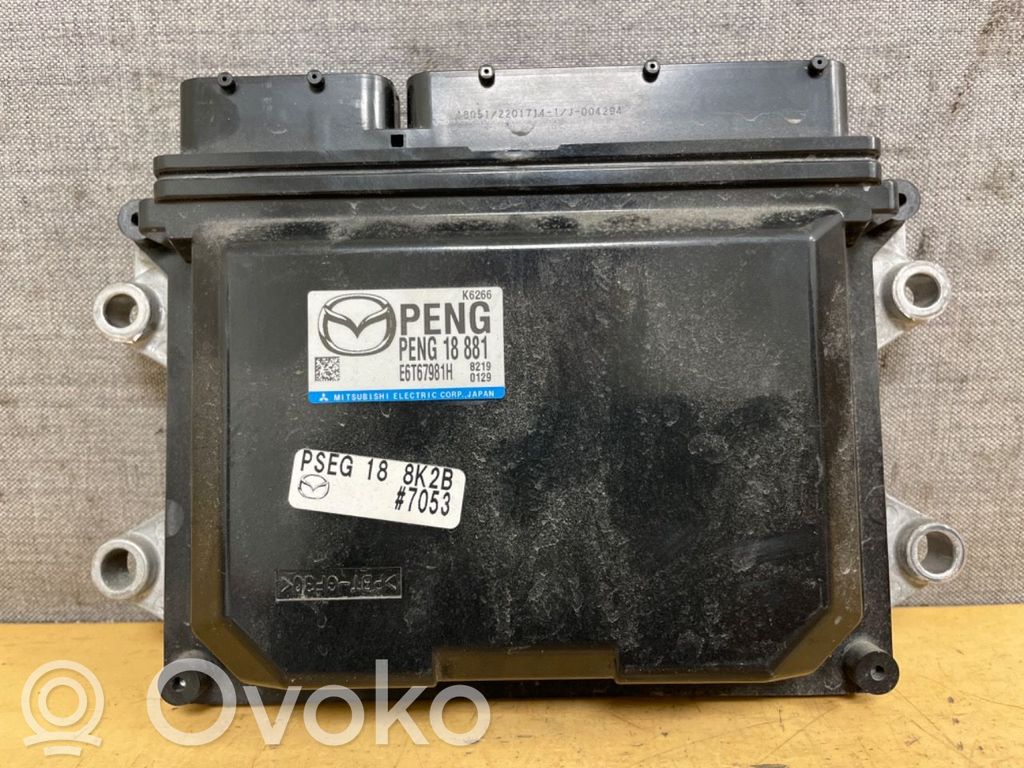 Engine control unit/module ECU   PENG18881,PENG18881,E6T67981H,E6T67981H,PENG18881