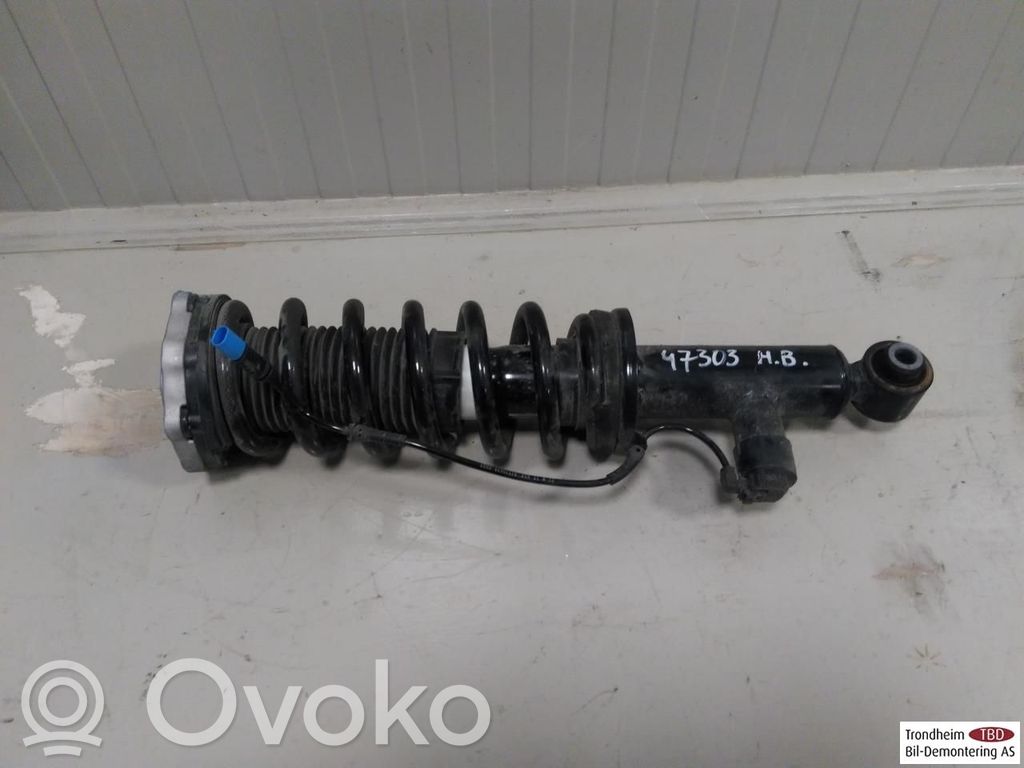 BMW iX3 Ammortizzatore posteriore con molla elicoidale 