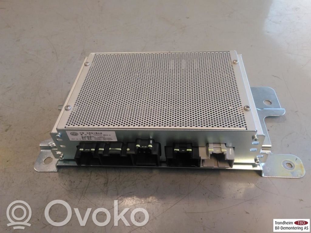 Hongqi E-HS9 Amplificatore 