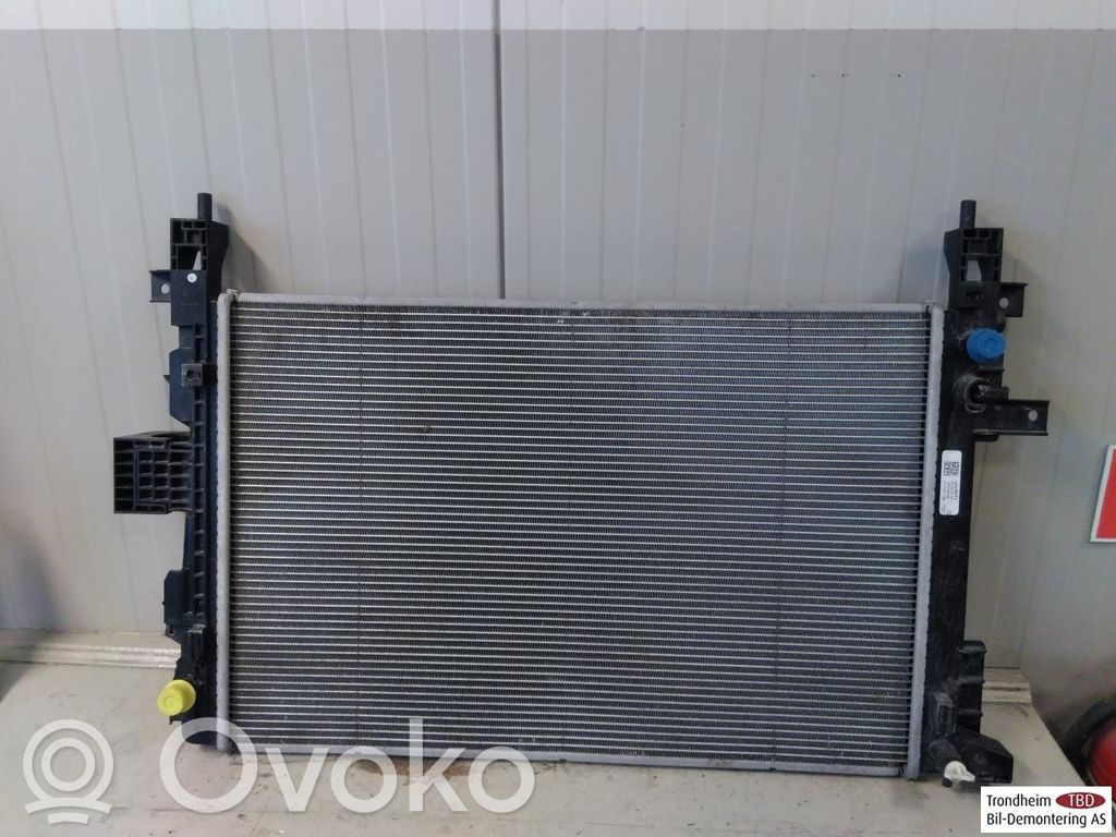 Opel Ampera- E Radiateur de refroidissement 