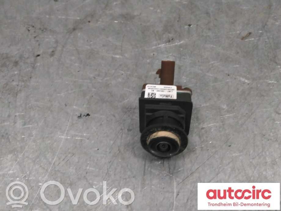 Ford Mustang Mach-E Reversing camera 